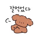 J.S.빌 이미지