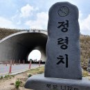 2026년 5월 3일 지리산 바래봉(1165m) 철쭉산행 - 블랙야크 100대명산 *정상적으로 출발합니다* 이미지