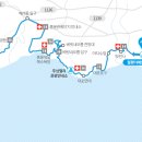 제주 올레길 8코스 이미지