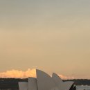 하버하우스 | 시드니 YHA하버 숙소 장단점, 여성 4인실 후기, 오페라 하우스 뷰*