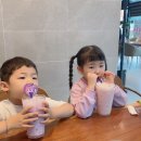 7월 첫 주,둘째 주 일상