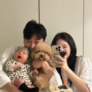 뉴본모터스 | 아기와 40일의 여정