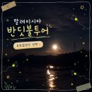 반딧불조명 | 말레이시아 반딧불투어 후기｜자유여행 중 하루만 투어 다녀온 찐후기
