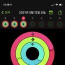 (주)현대여행 이미지