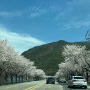 팔공산로 | 팔공산 엄마밥상 후기 | 흑백요리사 칠곡 한정식 능이솥밥·주차·웨이팅 정보