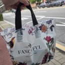계산제일교회 앞 | 임신 12주차 1차 기형아검사 후기 목덜미투명대(NT), 코뼈 확인