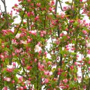 보광농원 이미지