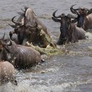 마라천국 이미지