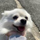 삼봉장례식장 이미지