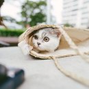 바른경영컨설팅 네이버블로그