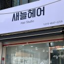 새늘헤어 네이버블로그
