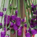 태안키즈풀빌라아띠 이미지