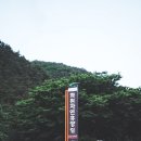 선데이모닝앤코(Sundaymorning&Co.)