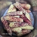 보리밥 먹고,응급차에 놀라고 소풍준비 이미지