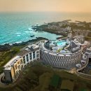 신라제과 이미지