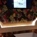 대현메디칼 이미지