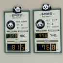 랜드하우스 | 에버랜드 ‘판다 세컨하우스’ 후기 🐼 쌍둥이 판다 루이바오·후이바오 만나는 곳 (평일 웨이팅)