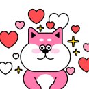 케이탑태권도 율량관 이미지