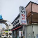 측백장어 이미지