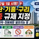 동탄 기흥 구리 3중 규제 지정 대출 청약 전매제한 달라지는 점 이미지
