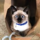 행복환경 이미지