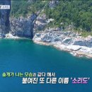 해녀민텔 이미지