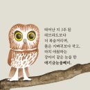 부엉이 이미지