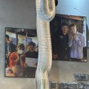 양탄집(옥계점) 이미지