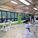 한국체대 신일태권도장 이미지