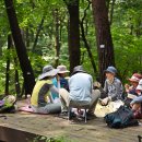 2024. 8. 24. 섬 전체가 하나의 정원 보령 "죽도 상화원" & 성주산 자연휴양림 "화장골 계곡" (진행:다빈님) 2 of 2 이미지