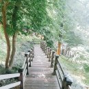 광주공원 매점 | 광주볼거리♡사직공원 전망대