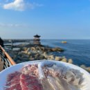 바다물산 | 동명동맛집 후광물산｜신선하고 가성비 미친 속초회 솔직후기(위치·영업시간·주차·가격)