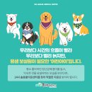 시흥솔병원 이미지