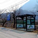 삼성교사거리 이미지