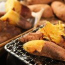 아이러브팜 이미지