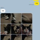 헬푸 이미지