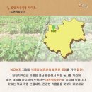 다온떡방앗간 이미지