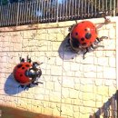 대자연유치원 이미지