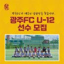 광주FC가 초등부 유소년 대상 제2의 엄원상을 찾는다고 하네요. 이미지