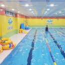 스위밍키즈 이미지