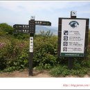 산철죽 군락지 이미지