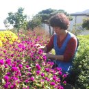 화수분농장 이미지