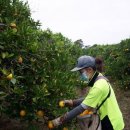 명심농장 이미지