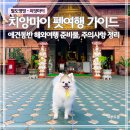 한국애견용품연구소 | 태국 치앙마이 애견동반 여행 팁 총정리｜준비물·이동·현지 생활까지