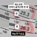 다이어트핏 | [창원 상남동] 누워서 하는 다이어트 에소코핏 EMS 효과 후기!(인바디 일부 공개)