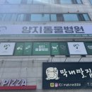 양지동물병원 이미지