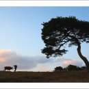 노을빛언덕 이미지