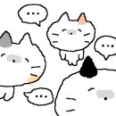 CGV 영등포 제5관 이미지