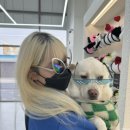 포토이즘박스낙산비치점