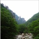 10년째 입산통제 이미지